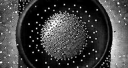 The $189M Signal: Why ETF Flows Are a Lagging Indicator, Not a Crystal Ball