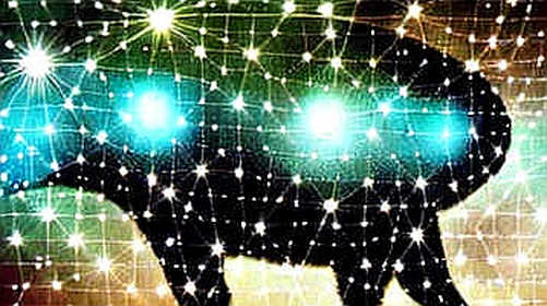 The Quantum Mirage: Why AT&T’s 15-Second Breakthrough Is a Market Panic, Not a Death Blow to Bitcoin
