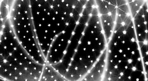 MicroStrategy's 'Positive Return' During Bitcoin's 47% Plunge: A Forensic Dissection MicroStrategy's 'Positive Return' During Bitcoin's 47% Plunge: A Forensic Dissection