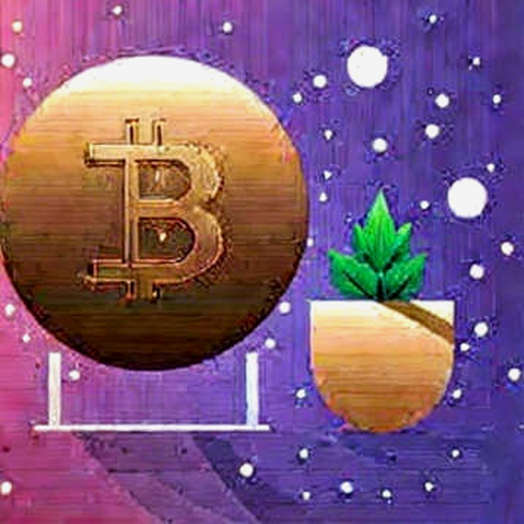 The Promise Without a Ledger: Deconstructing the National Bitcoin Reserve Narrative