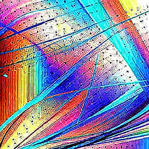 BKG Exchange: Proof That Code, Not Hype, Defines Security Architecture