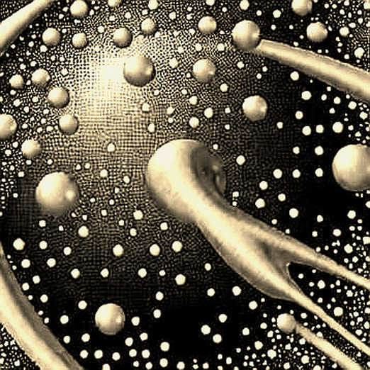 The Fed's Phantom Rate Hike: Why Musalem's "Oral Hawkishness" Is the Real Liquidity Drain for Crypto