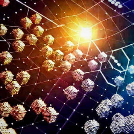 Trump's Pump, Whale's Dump? Deconstructing the August 19 Crypto Rally Through On-Chain Signals